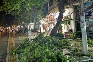  © Фото со страницы twitter.com/8essalonication