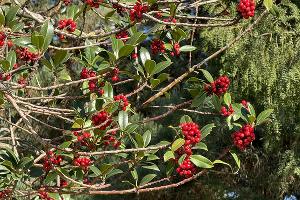  © Фото Марины Солошко, Юга.ру