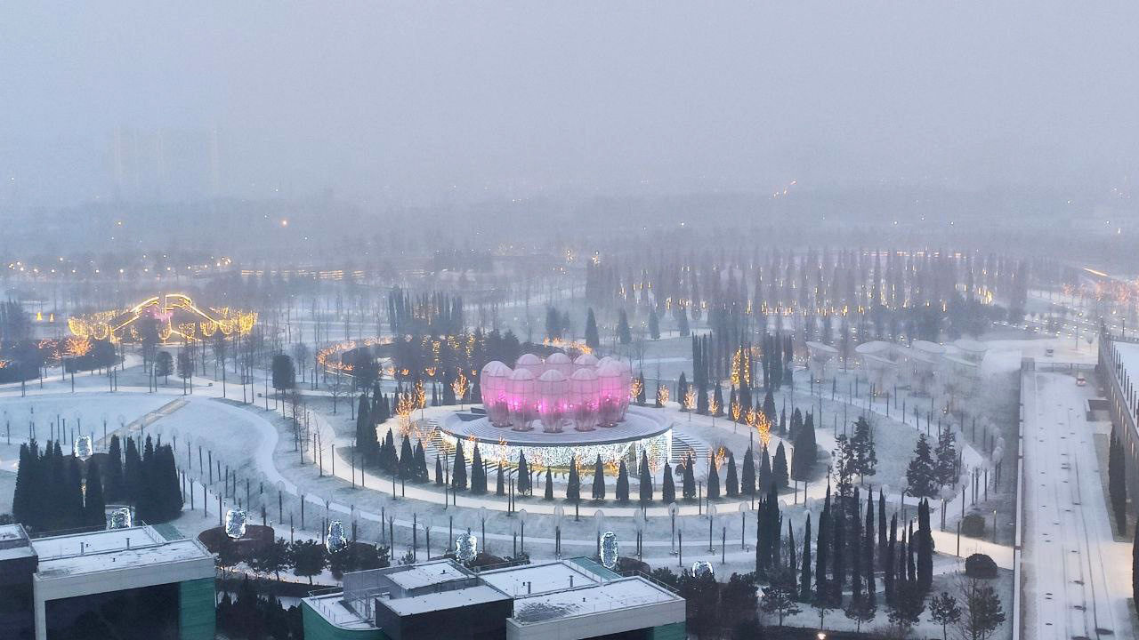 Парк «Краснодар» под первым снегом, 22 декабря 2021 © Фото Евгения Таранжина