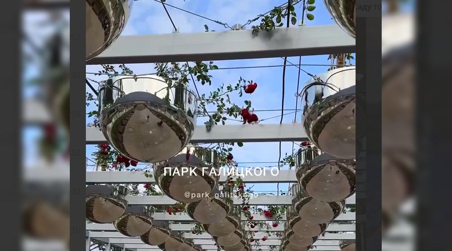  &copy;&nbsp;Скриншот из телеграмм-канала &laquo;Парк Галицкого Краснодар&raquo; https://t.me/park_galitskogo/15900