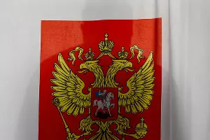 Выборы &copy;&nbsp;Эдуард Корниенко, ЮГА.ру