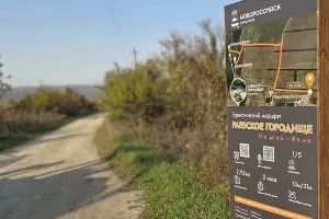  &copy;&nbsp;Скриншот фото из телеграм-канала мэра Новороссийска Андрея Кравченко