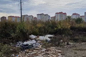  &copy;&nbsp;Фото Анастасии Рассказовой