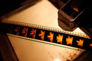  &copy;&nbsp;Фото Влада Александрова, Юга.ру