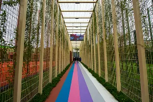 Спортивное пространство в парке «Краснодар»  &copy;&nbsp;Фото Елены Синеок, Юга.ру