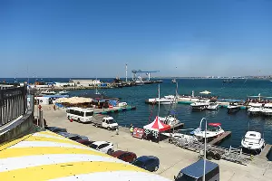  &copy;&nbsp;Фото Елены Синеок, Юга.ру