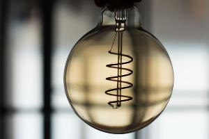 Лампочка © Фото Елены Синеок, Юга.ру