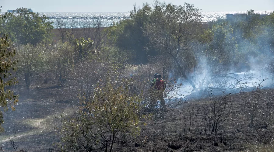 &copy;&nbsp;Фото Sega Black-Sea