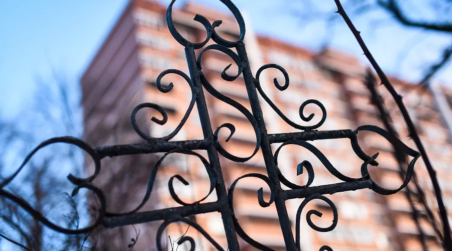  &copy;&nbsp;Фото Елены Синеок, Юга.ру