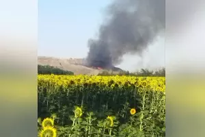 Первые минуты пожара на Копанском мусорном полигоне &copy;&nbsp;Скриншот публикации в телеграм-канале &laquo;Копанской против свалки&raquo;, t.me/Kopanskoisvalka