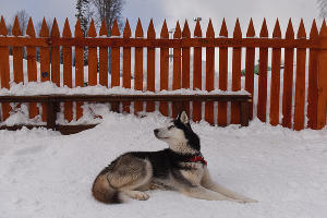 Тест-драйв SKODA Yeti в Красной Поляне &copy;&nbsp;Фото Елены Синеок, Юга.ру