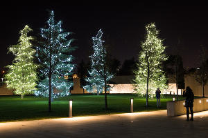 Парк «Краснодар»  с новогодней подсветкой &copy;&nbsp;Фото Елены Синеок, Юга.ру