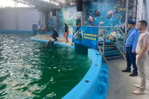  &copy;&nbsp;Скриншот фото из телеграм-канала &laquo;Прокуратура Краснодарского края&raquo;