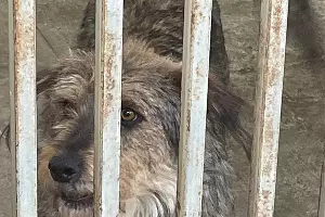  &copy;&nbsp;Фото Даниила Вальца