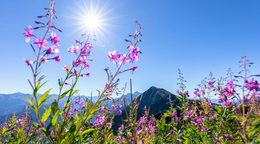  &copy;&nbsp;Фото пресс-службы курорта &laquo;Роза Хутор&raquo;