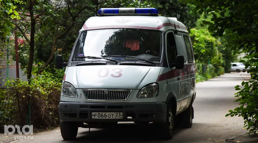  &copy;&nbsp;Фото Елены Синеок, Юга.ру