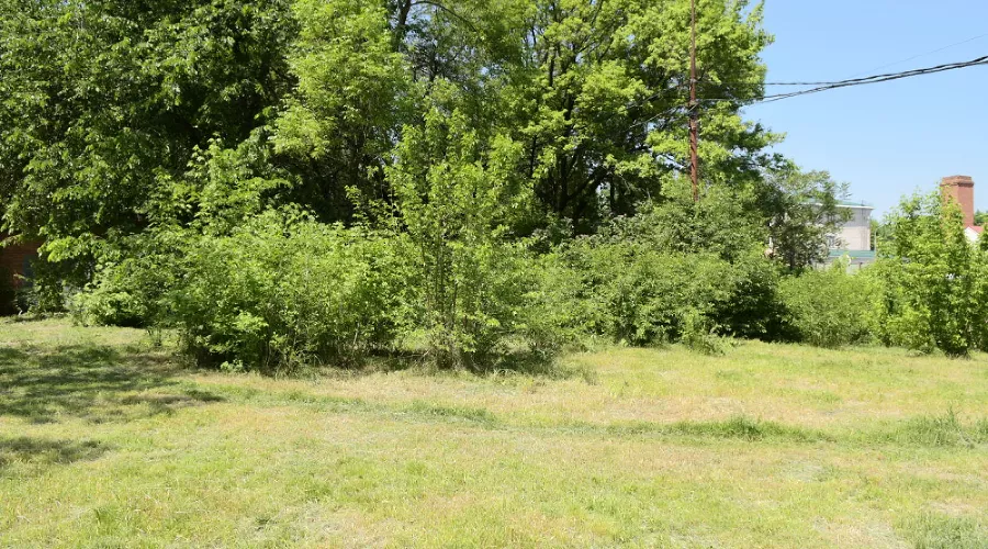  &copy;&nbsp;Фото пресс-службы администрации Краснодара