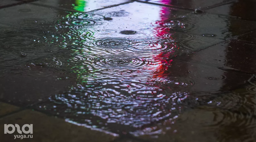  &copy;&nbsp;Фото Елены Синеок, Юга.ру