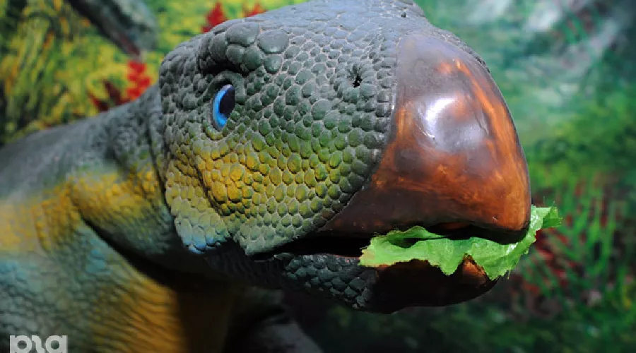 Выставка динозавров &copy;&nbsp;Елена Синеок. ЮГА.ру