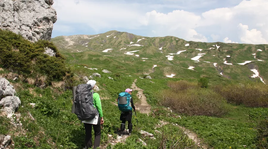  &copy;&nbsp;Фото пресс-службы Кавказского заповедника