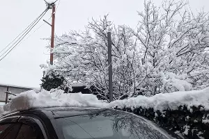 Снегопад в Краснодаре, 21 января 2024 г. &copy;&nbsp;Антон Быков, Юга.ру