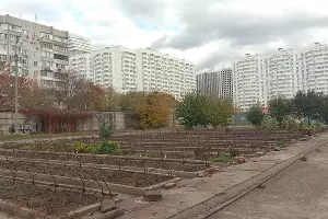 Здесь выращивают рассаду &copy;&nbsp;Фото Яры Гуляевой, Юга.ру