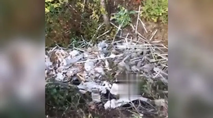  &copy;&nbsp;Скриншот видео из телеграм-канала &laquo;Типичный Краснодар&raquo;, t.me/krd_tipich_ru