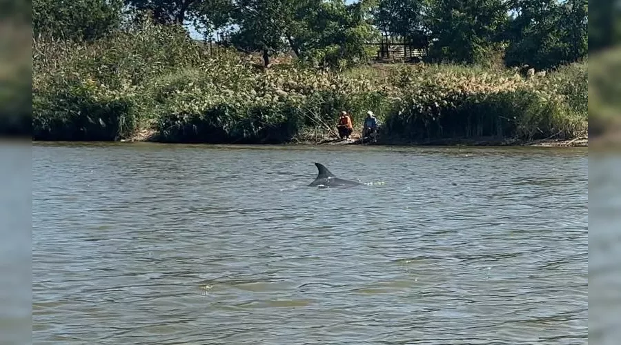  &copy;&nbsp;скриншот фото из телеграм-канала &laquo;Экология — дело каждого!&raquo;