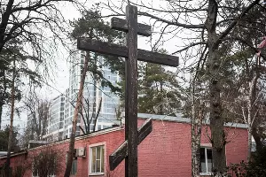  &copy;&nbsp;Фото Елены Синеок, Юга.ру