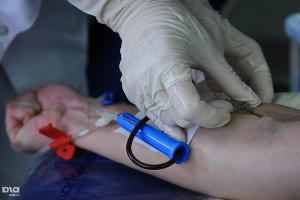  © Фото Елены Синеок, Юга.ру