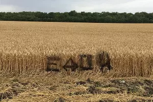  &copy;&nbsp;Фото из инстаграма edodoy_edodoy, instagram.com/edodoy_edodoy