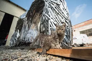 Draped Data Владимира Омутова &copy;&nbsp;Фото Елены Синеок, Юга.ру