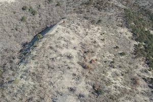 Заповедник "Утриш" &copy;&nbsp;Фото Андрея Маковозова, предоставлено Юга.ру