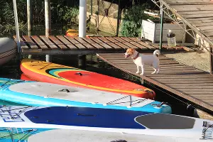 Сапы на базе отдыха &laquo;Лотос&raquo; у озера Старая Кубань &copy;&nbsp;Фото Марины Солошко, Юга.ру