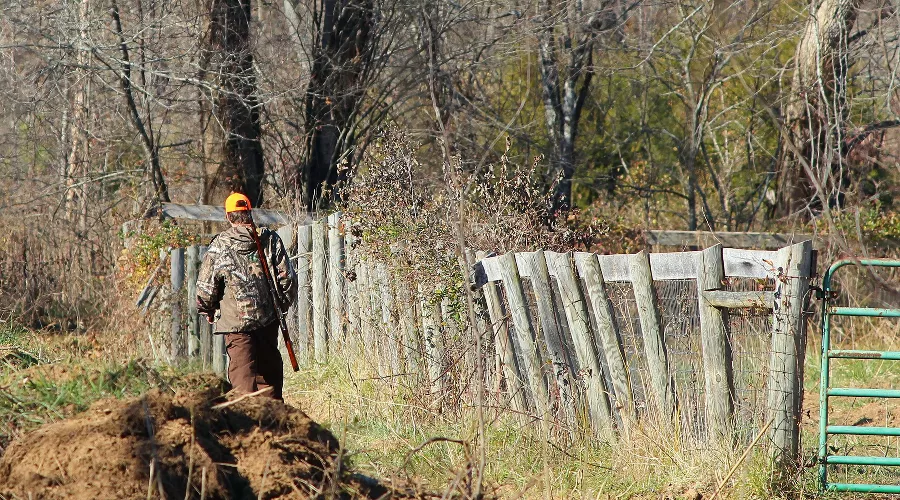  &copy;&nbsp;Фото с сайта pixabay.com