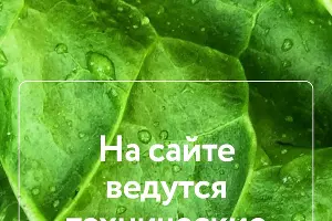  &copy;&nbsp;Скриншот сайта &laquo;О'кей&raquo;