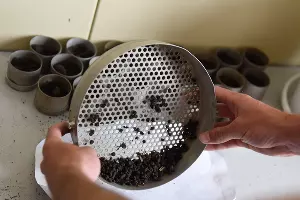 Опытная станция учхоза &laquo;Кубань&raquo; &copy;&nbsp;Фото Елены Синеок, Юга.ру