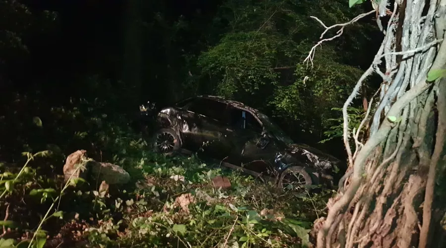  &copy;&nbsp;Фото пресс-службы ЮРПСО