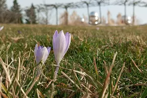  &copy;&nbsp;фото Андрея Малёваного