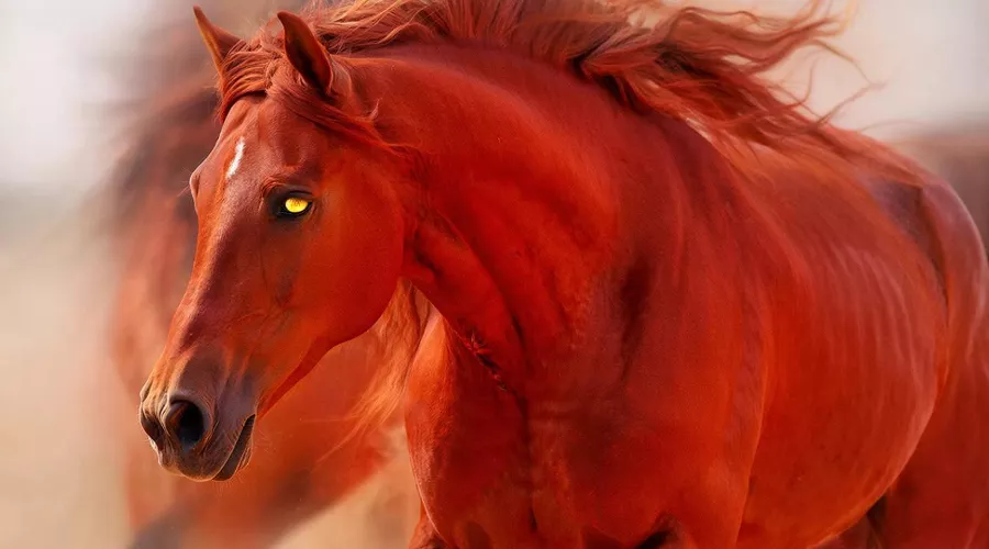 лошадь &copy;&nbsp;Изображение сгенерировано нейросетью Gigachat