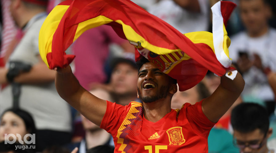  © Фото Елены Синеок, Юга.ру