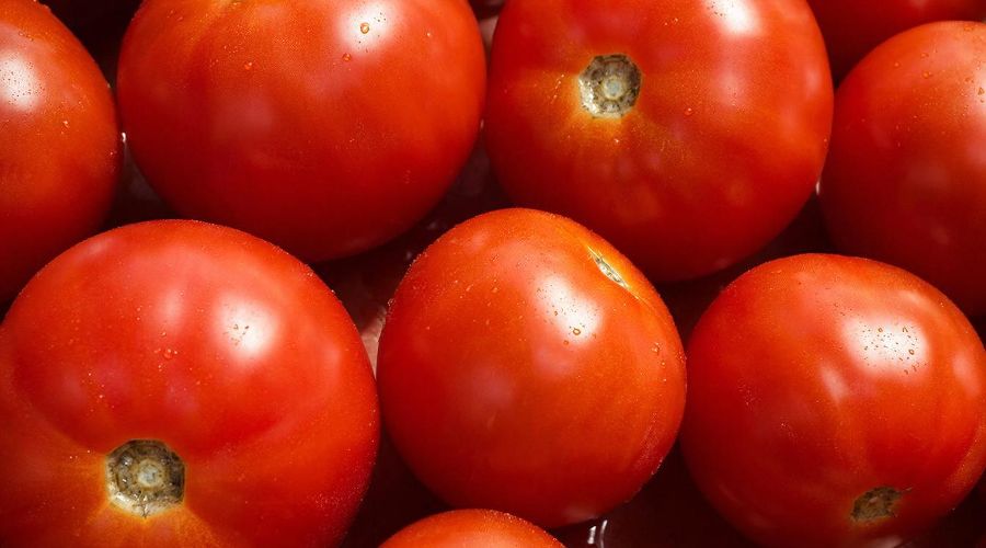 помидор &copy;&nbsp;Изображение сгенерировано нейросетью Gigachat