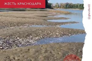  © Скриншот видео из телеграм-канала «Жесть Краснодара и края», t.me/ghestkrd