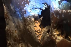  © Фото пресс-службы Росгвардии