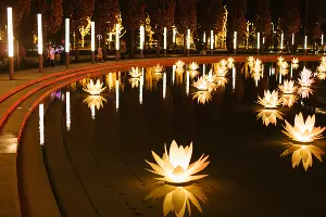 Новогодний парк «Краснодар» &copy;&nbsp;Фото Дениса Яковлева, Юга.ру