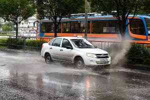  &copy;&nbsp;Фото Елены Синеок, Юга.ру