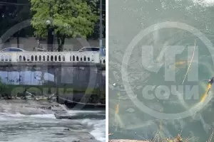  &copy;&nbsp;Скриншоты фото из телеграм-канала &laquo;ЧП Сочи&raquo;