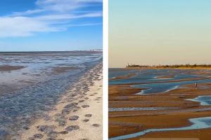  © Коллаж из скриншота видео телеграм-пользователя azirra и скриншота фото Андрея Волобуя