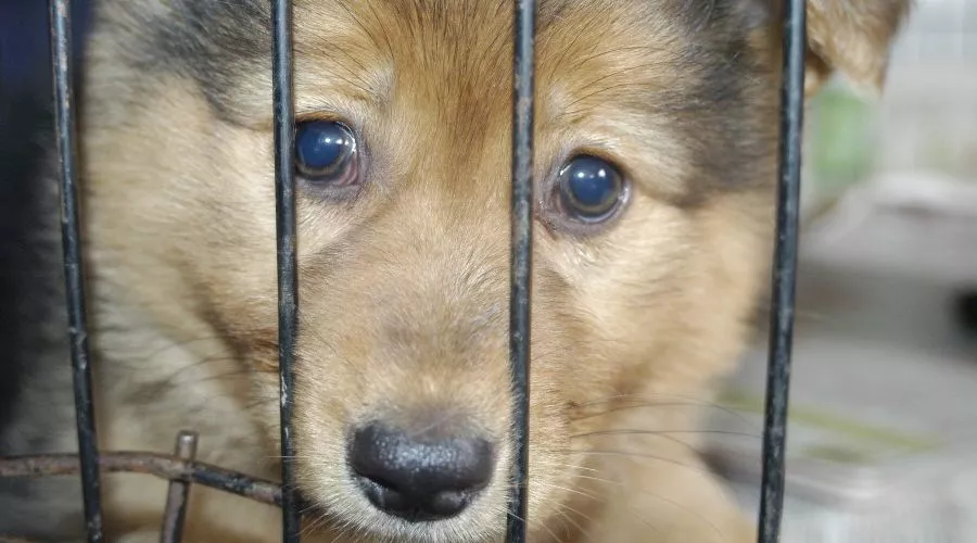  &copy;&nbsp;Фото Марии Строителевой, Юга.ру