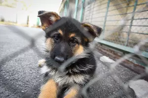  &copy;&nbsp;Фото Елены Синеок, Юга.ру